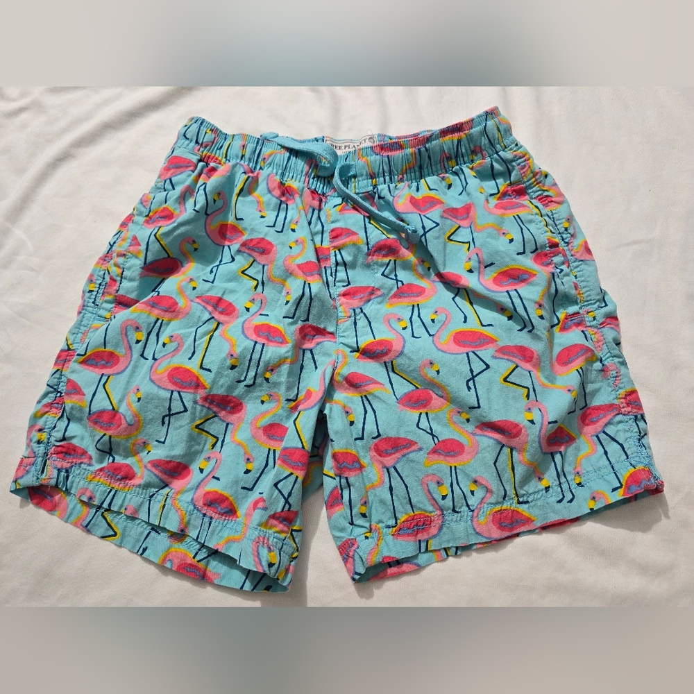 Free Planet Flamingo Cotton Shorts Size Small - Picture 2 of 8